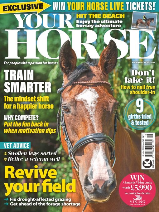 Cover image for Your Horse